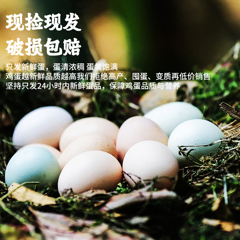 【50枚散养土鸡蛋】高山天然原生态农场散养粉壳土鸡蛋50枚