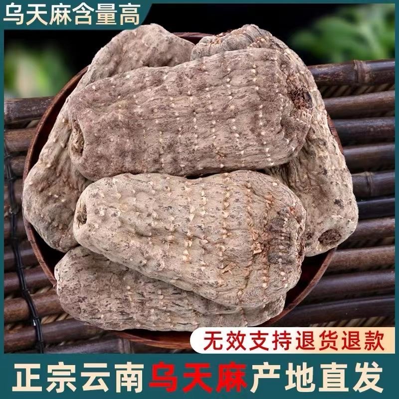 乌天麻非野生云南昭通小草坝黑天麻乌天麻天麻新鲜云南昭通小草坝