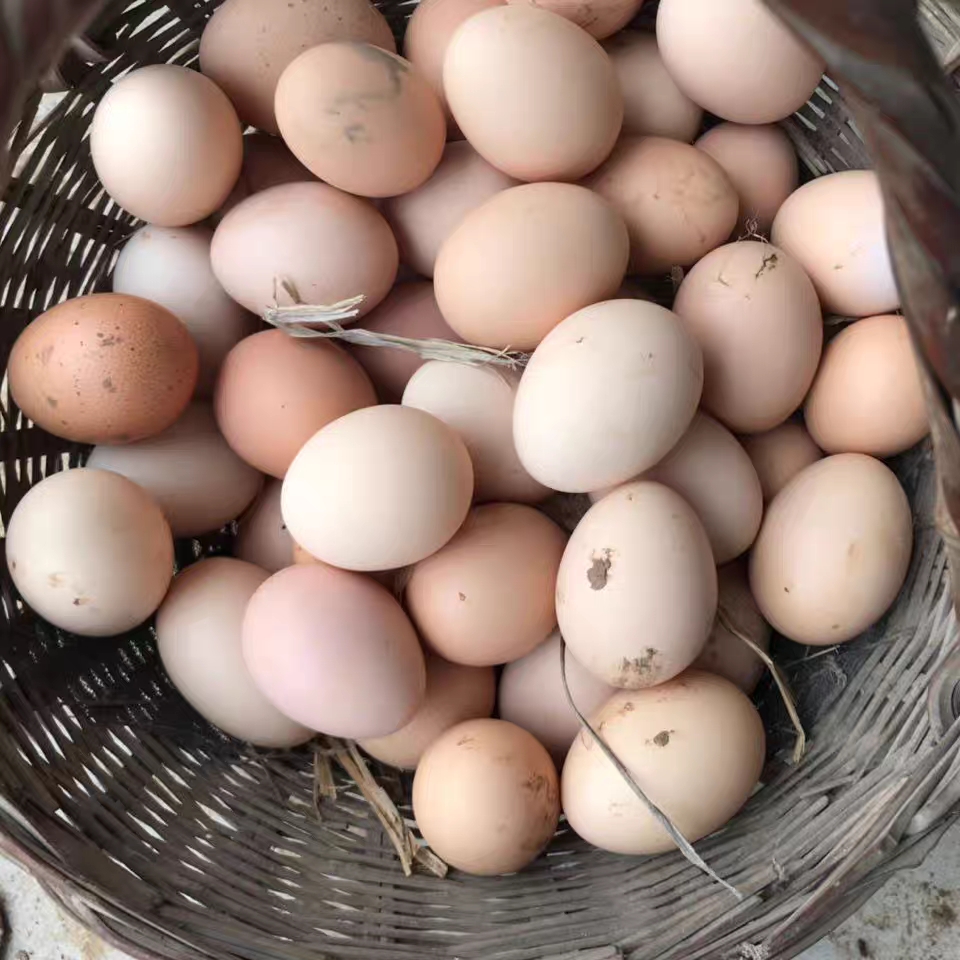 【农家土鸡蛋】拓鲜生真正土鸡蛋色黄味香新鲜30颗～60颗顺丰包邮