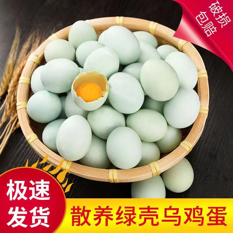 绿壳蛋乌鸡蛋土鸡蛋农家笨鸡蛋新鲜山林散养10-40枚小鸡蛋包邮
