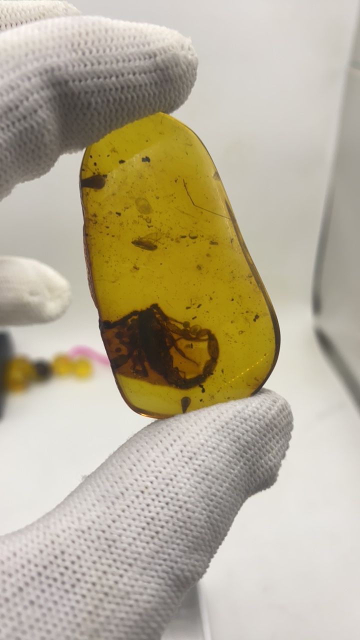 天然琥珀虫珀蝎子