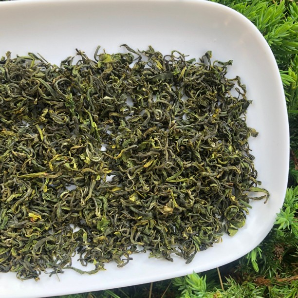 【头春茶5月初】手工本地日照绿茶，豌豆清香醇厚香甜，手工采摘