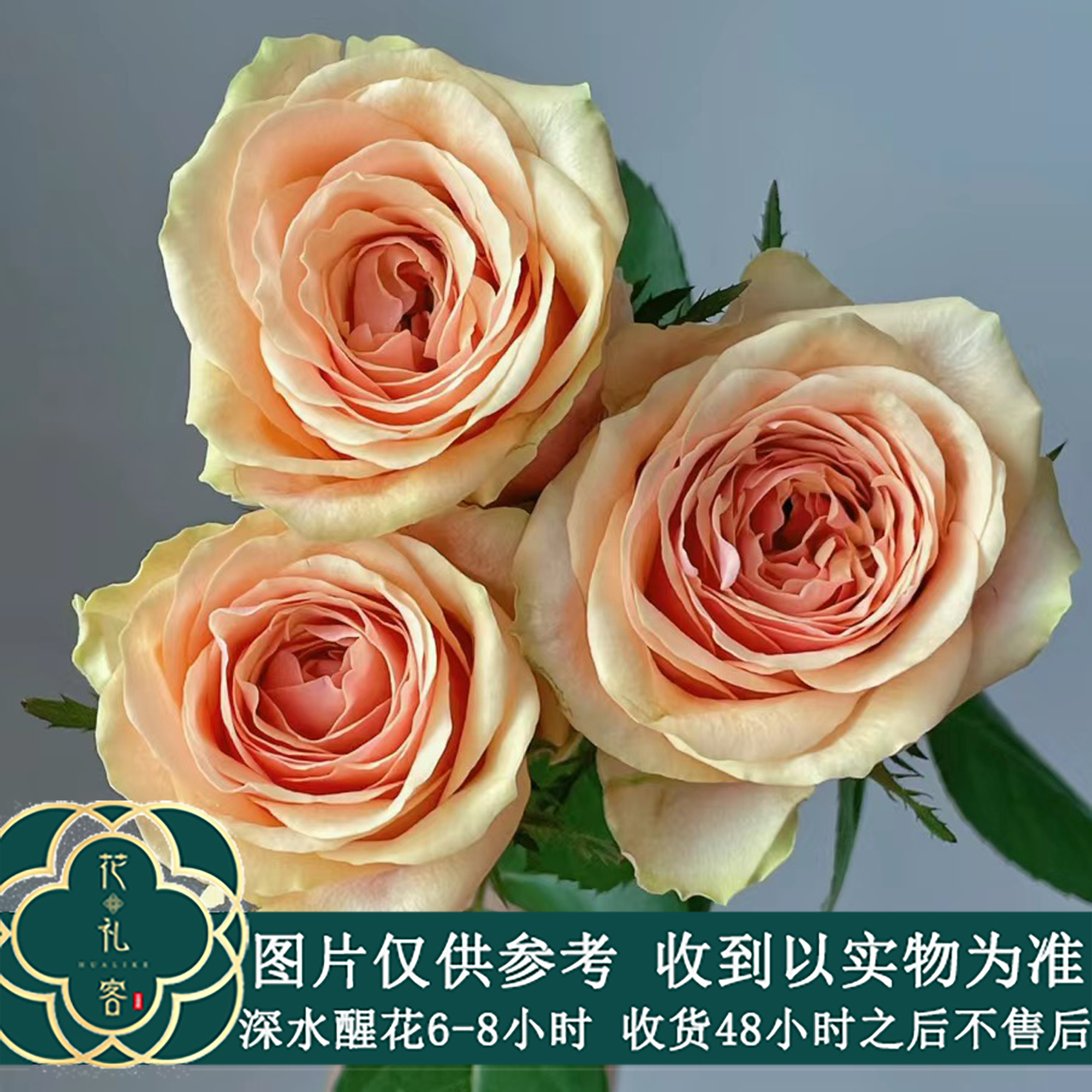 云花巷#单头玫瑰 【迪威娜】鲜花优选 顺丰直发