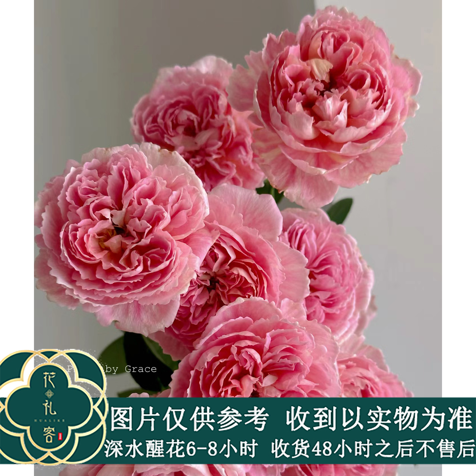 云花巷#【织锦】高品质鲜切花云南基地直采顺丰直发