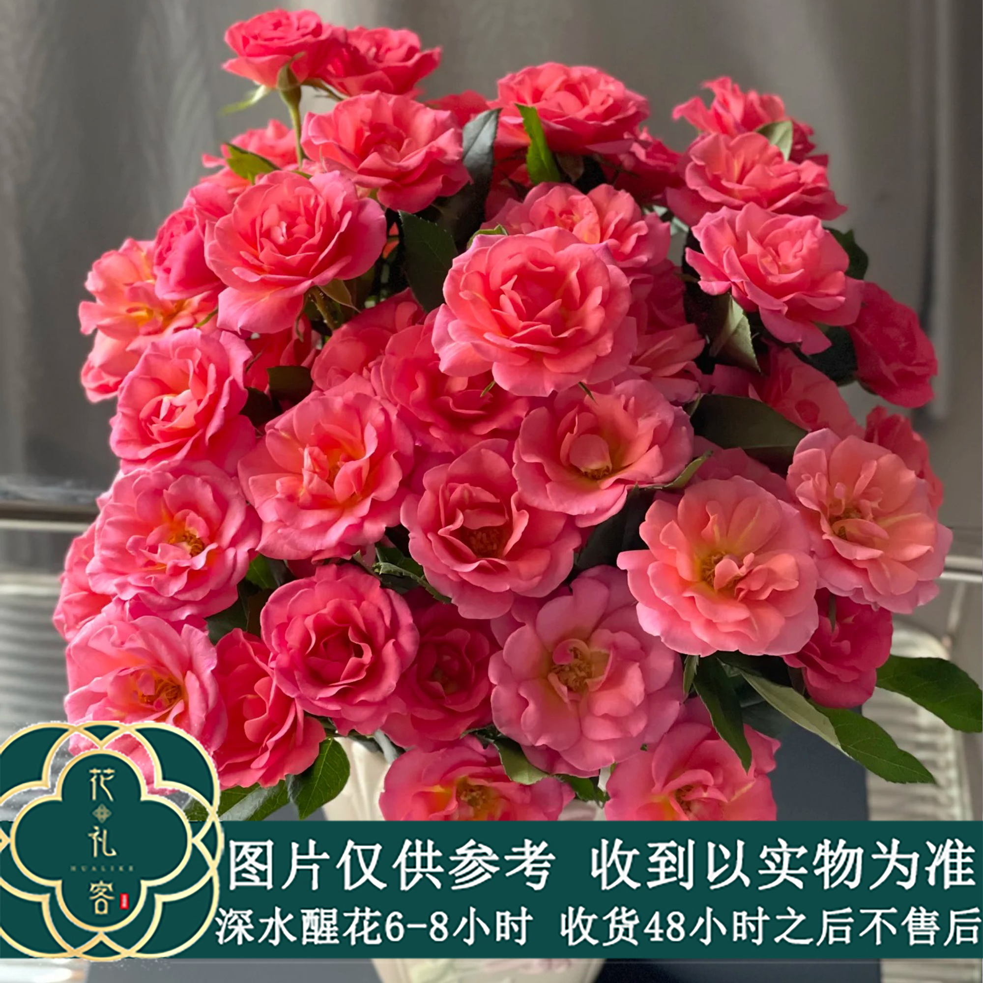 云花巷 * 缤纷育种玫瑰基地-稀有小众高端玫瑰 顺丰直发