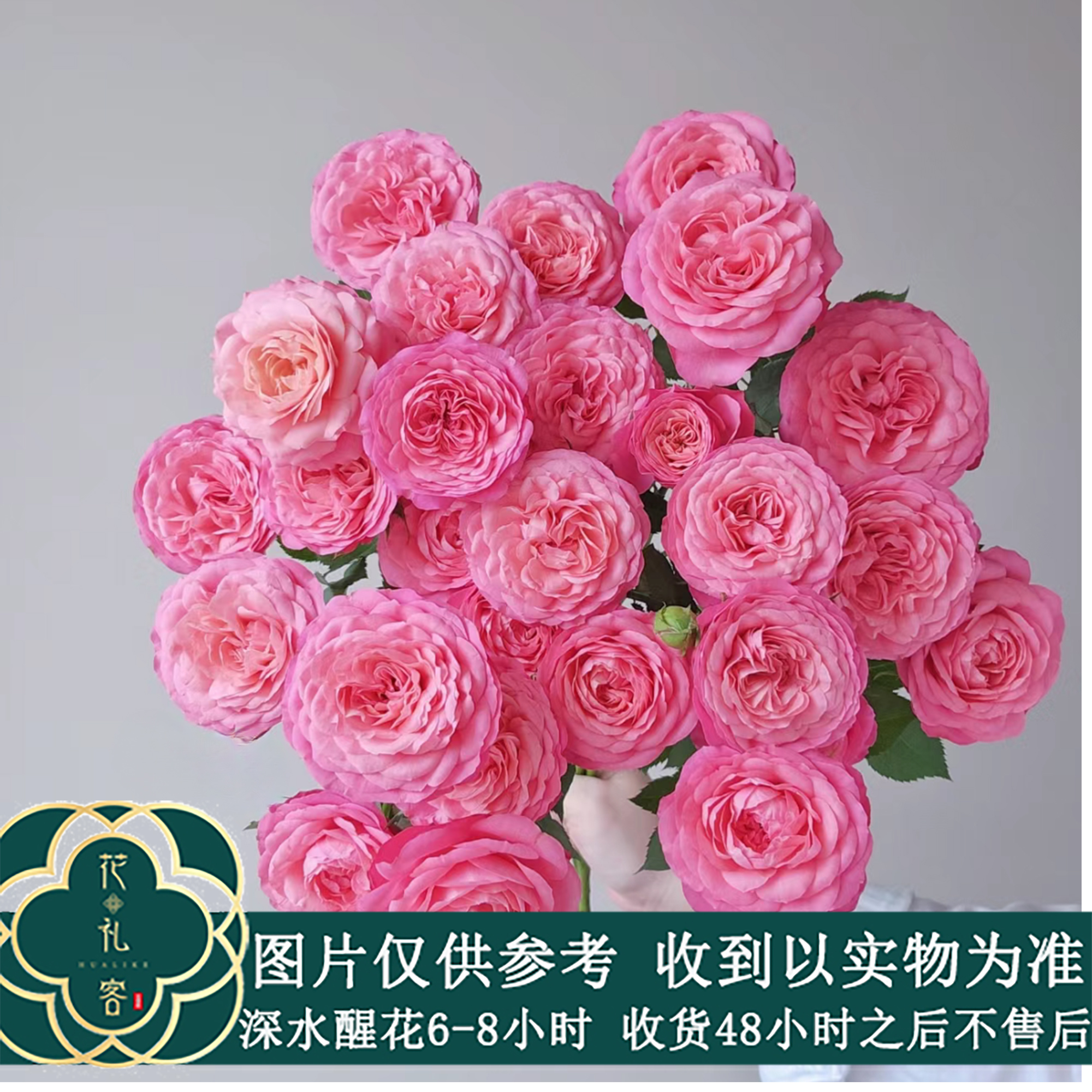 云花巷#多头玫瑰 【胭脂公主】鲜花优选 顺丰直发