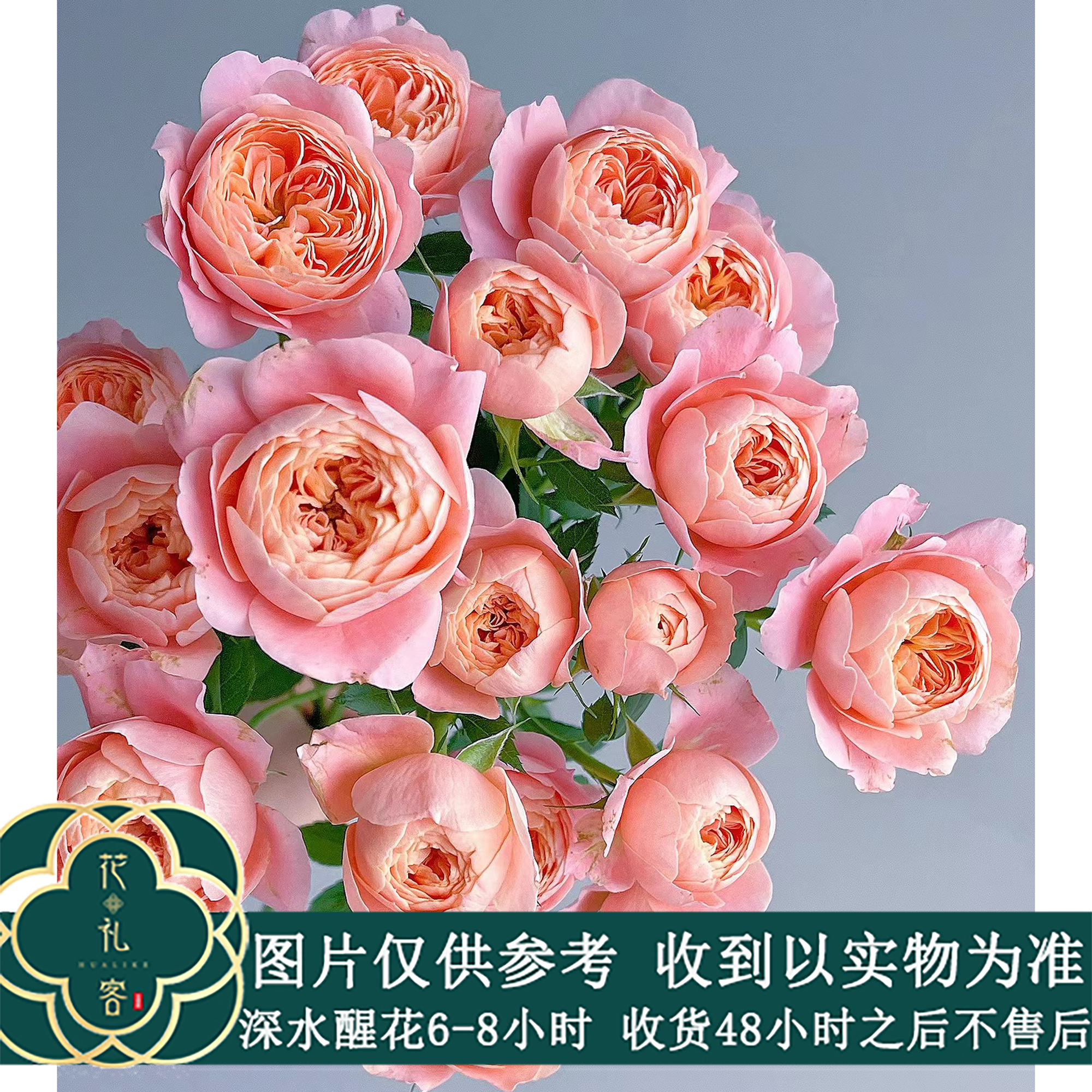 云花巷#【蜜桃汁阳台】高端稀有小众玫瑰鲜花优选 顺丰直发