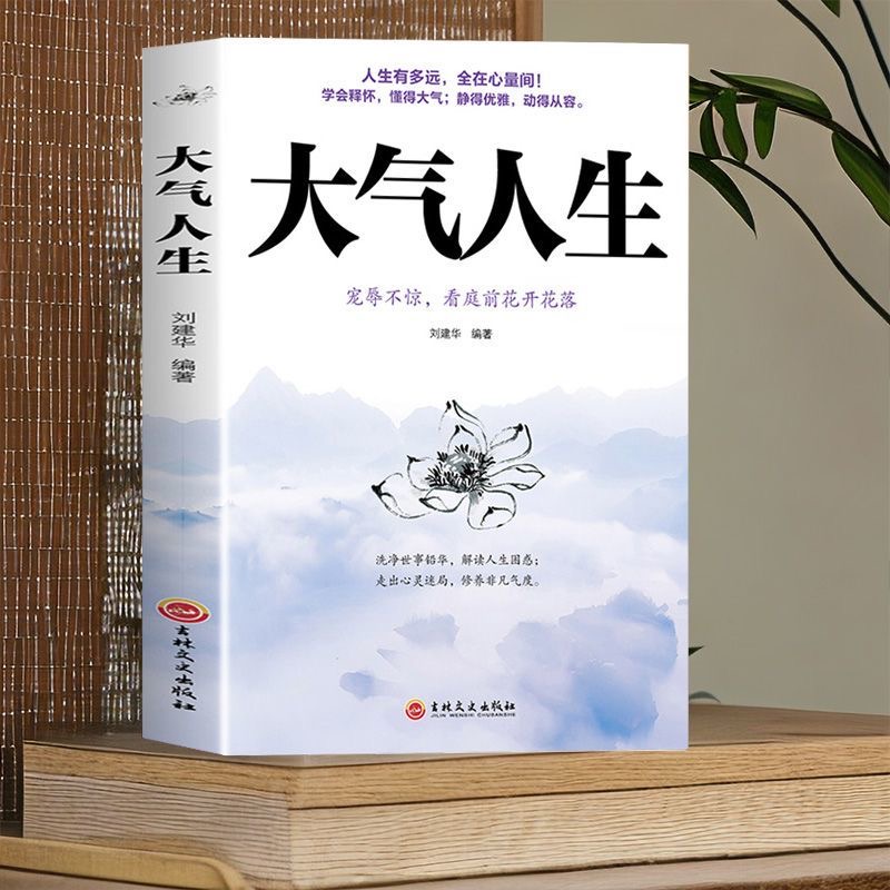 正大气人生活出人生的厚度学会释怀懂得静的优雅动的从容书籍