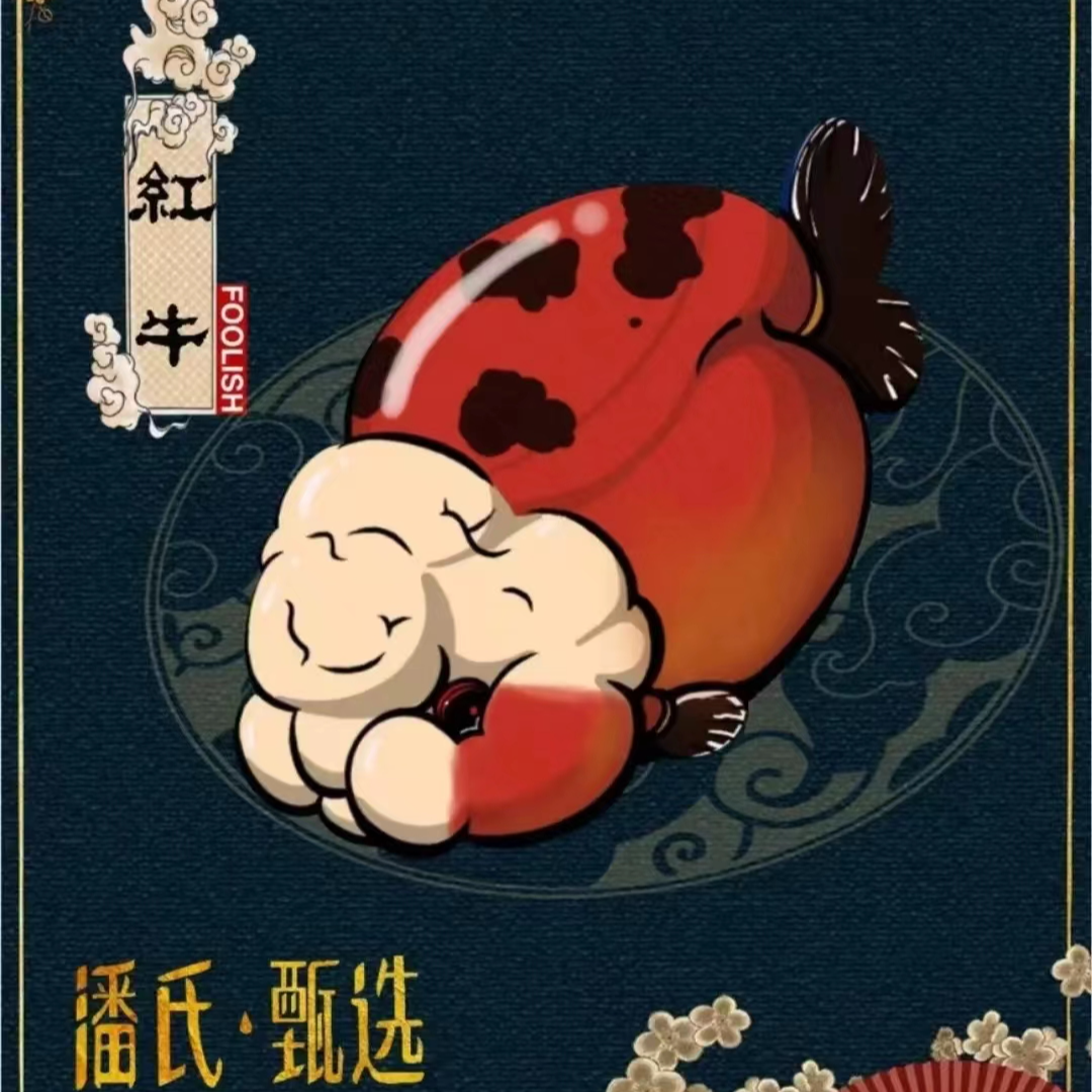 兰寿10-100《直播选鱼链接，请勿私拍》