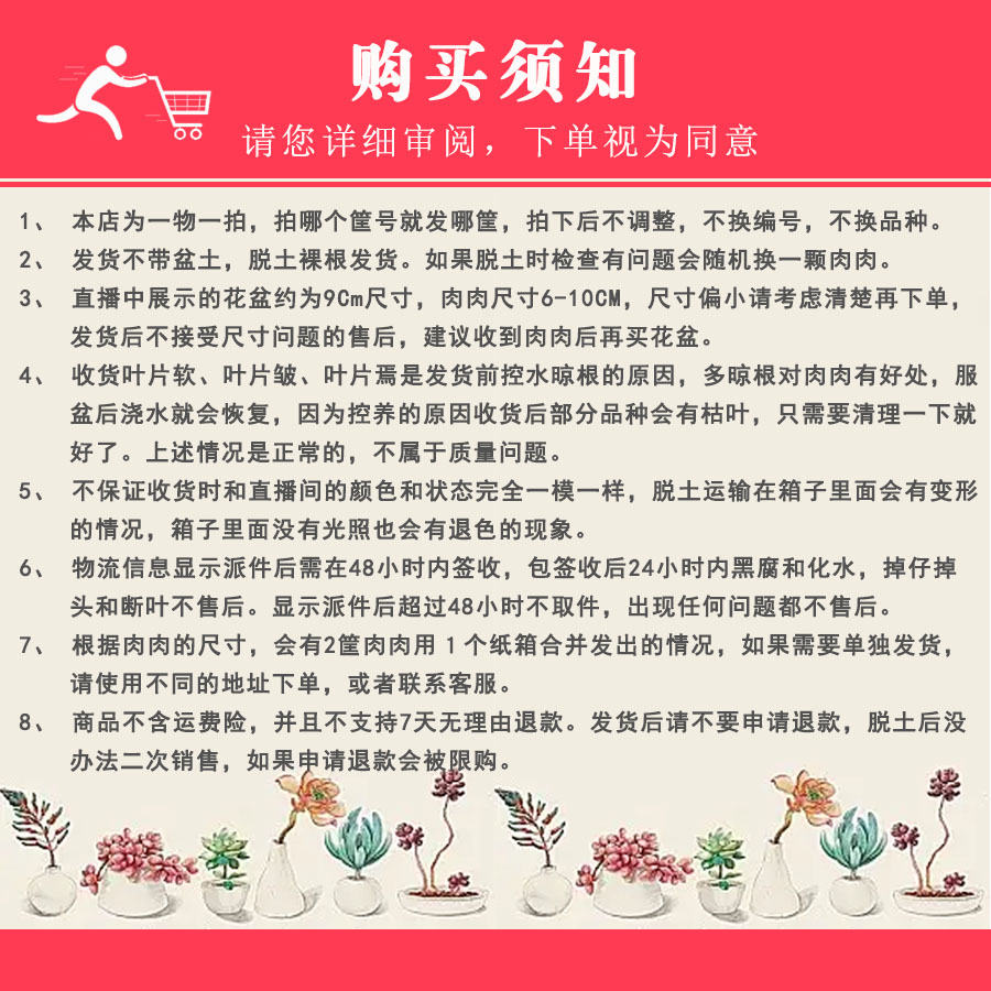 12号510-514多肉脱土发货-请阅读主图购买须知及商品详情页内容