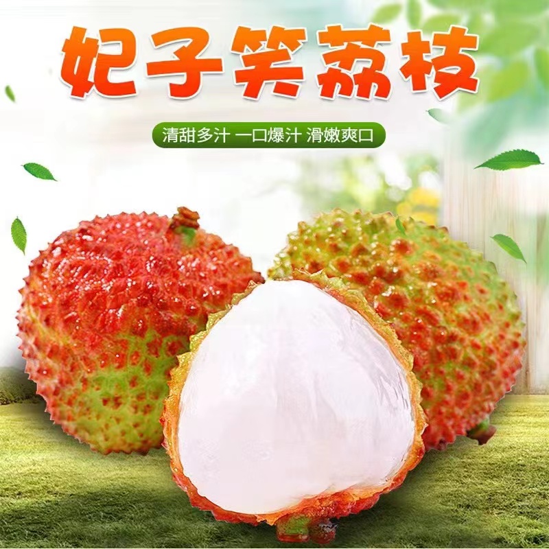 【达吾水果】海南新鲜空运妃子笑老树荔枝6斤起