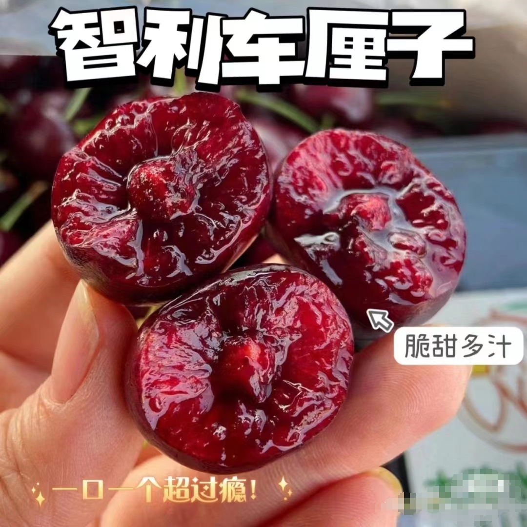 【达吾水果】三番市单JD智利海运拉宾斯车厘子5斤原箱 内附果径卡