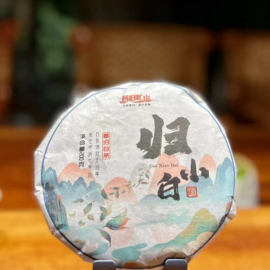 【昔归白茶经典】2022年昔归忙山茶业昔归纯料白茶归小白