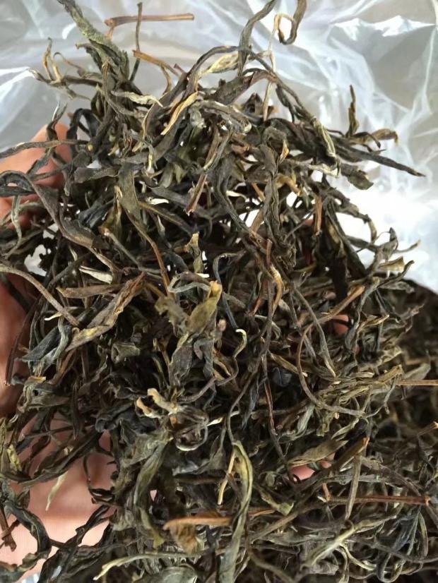 南美坡脚  古树春茶 2023年 100克生茶 