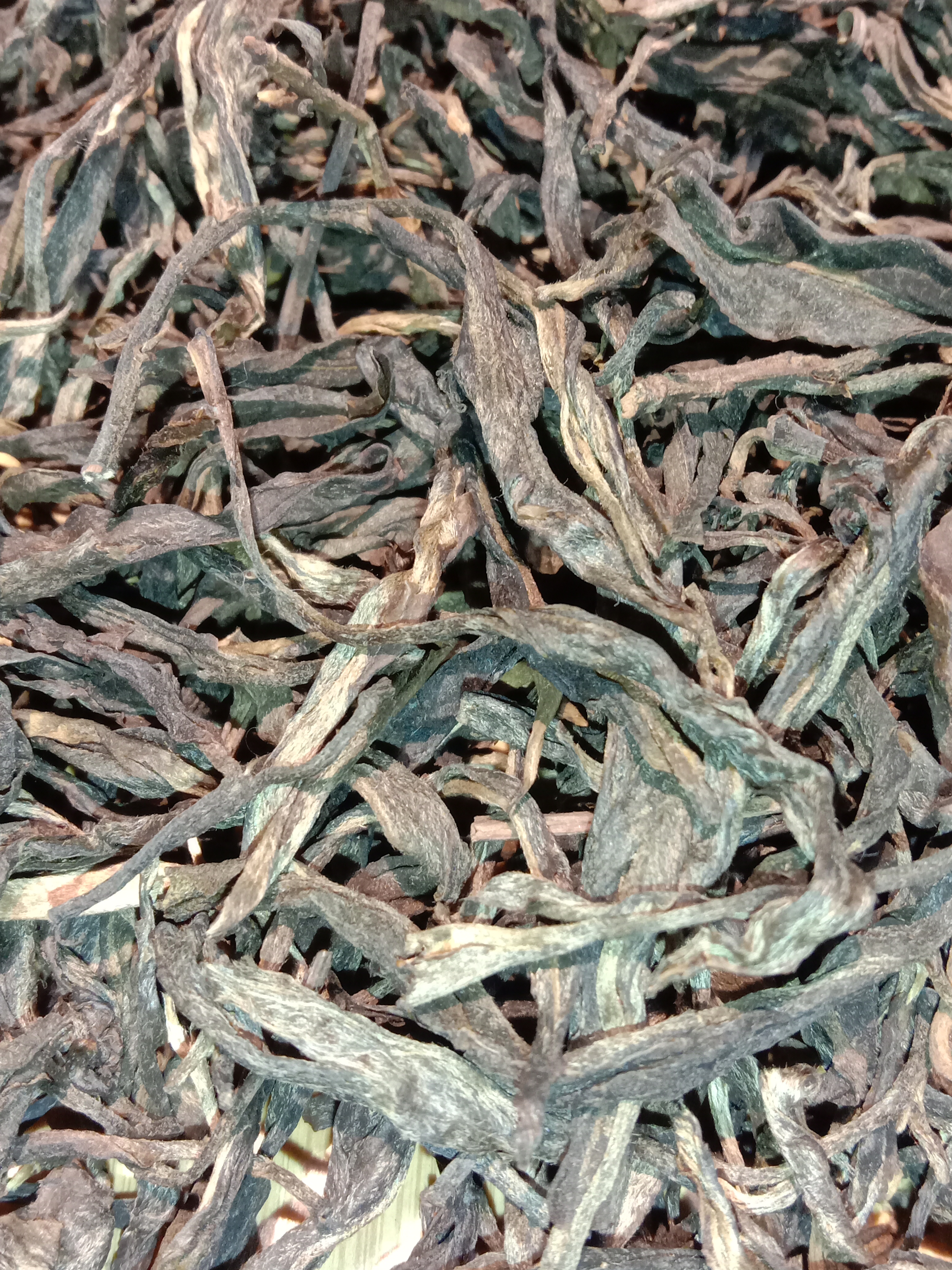 易武古树高杆2020年生普散料100克