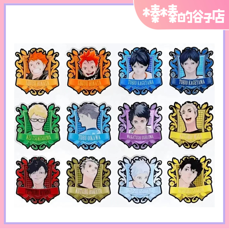 （盲盒代拆）排球少年 JS原画异形亚克力徽章吧唧 盲盒