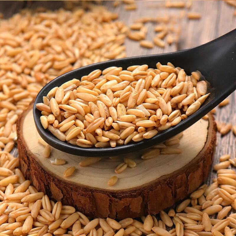 【云南燕麦米】全胚芽米农家新货精选品质正宗杂粮营养美味粗粮健康