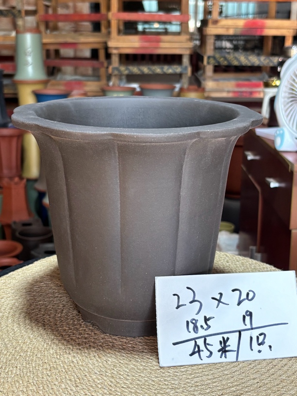 好运来花盆紫砂花盆君子兰蝴蝶兰春兰春剑花盆