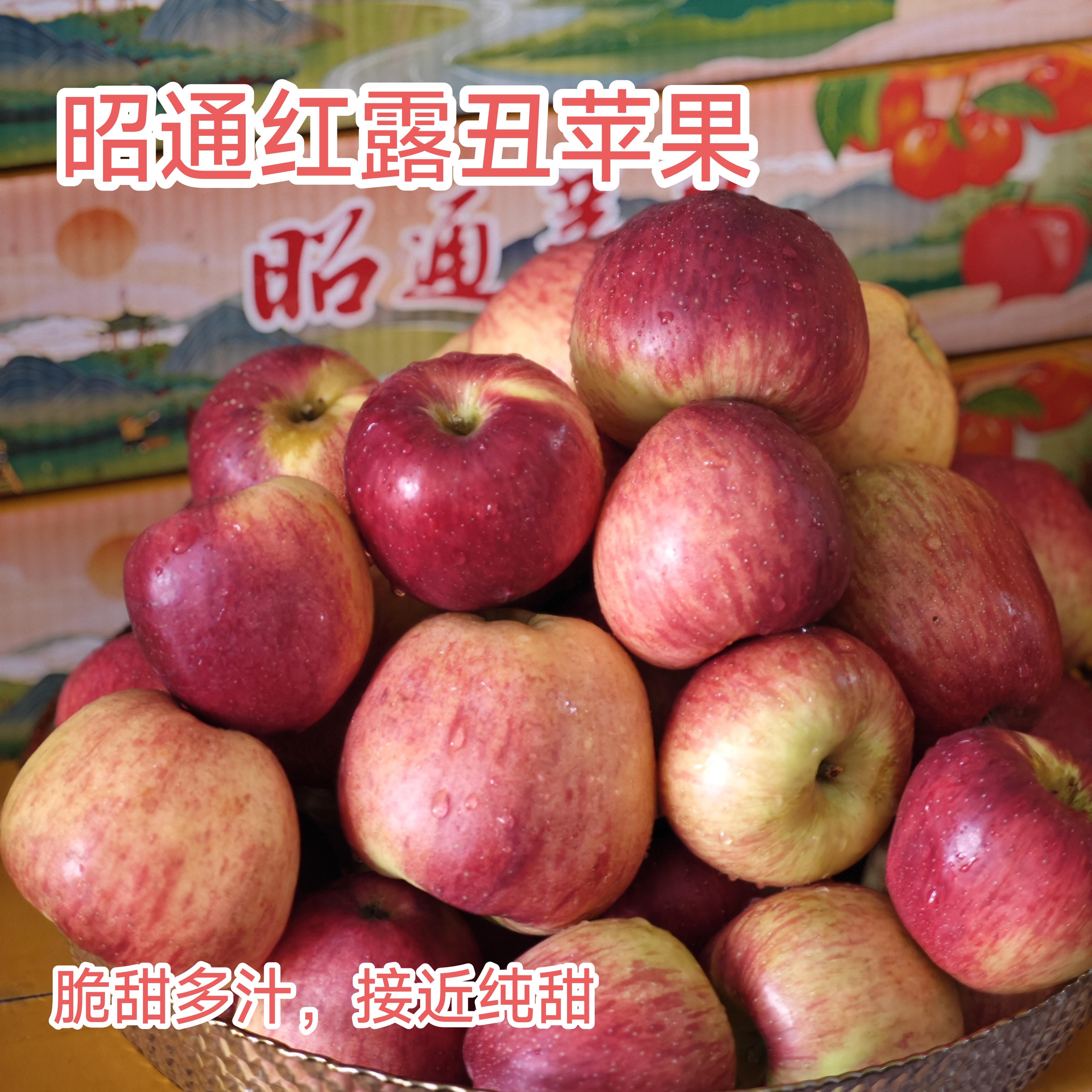 昭通早期苹果红露苹果现摘现发4.5斤/6.8斤/9斤包邮