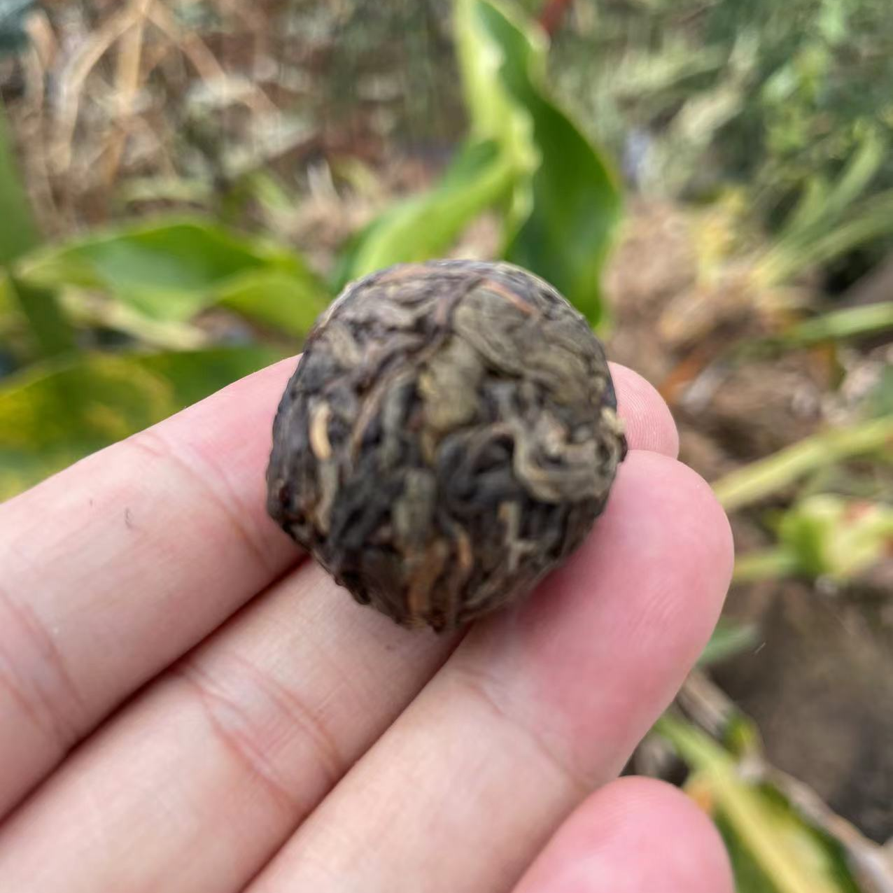 24年昔归春茶 生茶龙珠 10颗80克 普洱茶叶礼盒皇帝柑小青柑