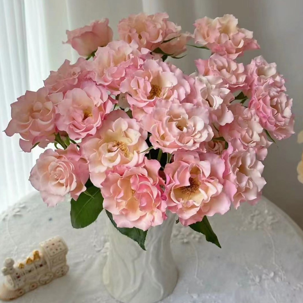 【陌上花开】20支单头卓夫特-单头玫瑰（注意：带包装醒花哦~）