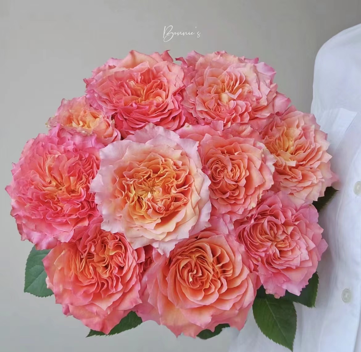 【陌上花开】火灵鸟-单头玫瑰（注意：带包装醒花哦~）