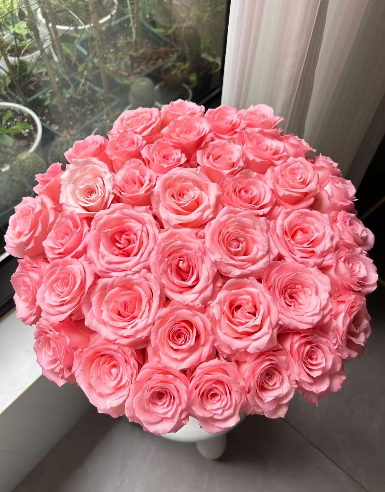 【陌上花开】20支装戴安娜-单头玫瑰（注意：带包装醒花哦~）