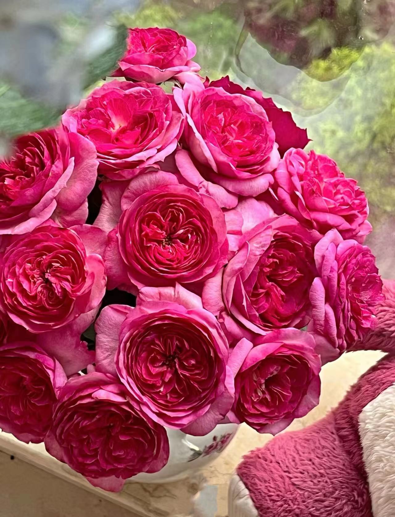 【陌上花开】草莓蛋糕-稀有多头玫瑰（收到请带包装醒花~）