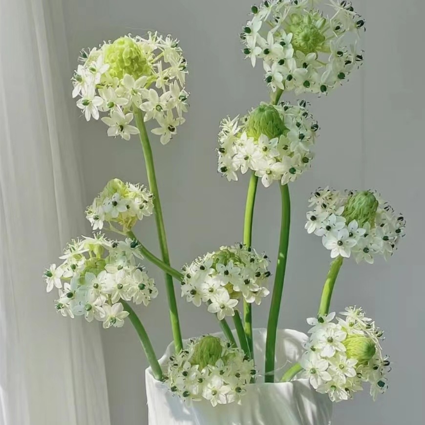 【陌上花开】天鹅绒-草花
