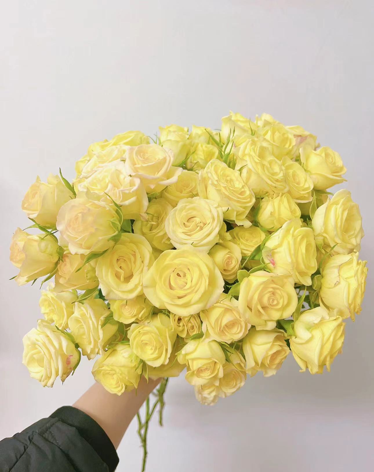 【陌上花开】婚礼激情-多头玫瑰