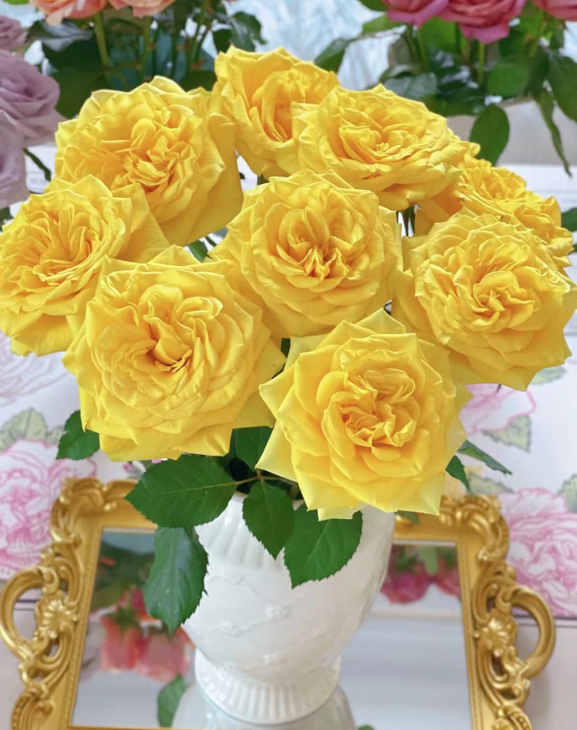 【陌上花开】月光女神-单头玫瑰