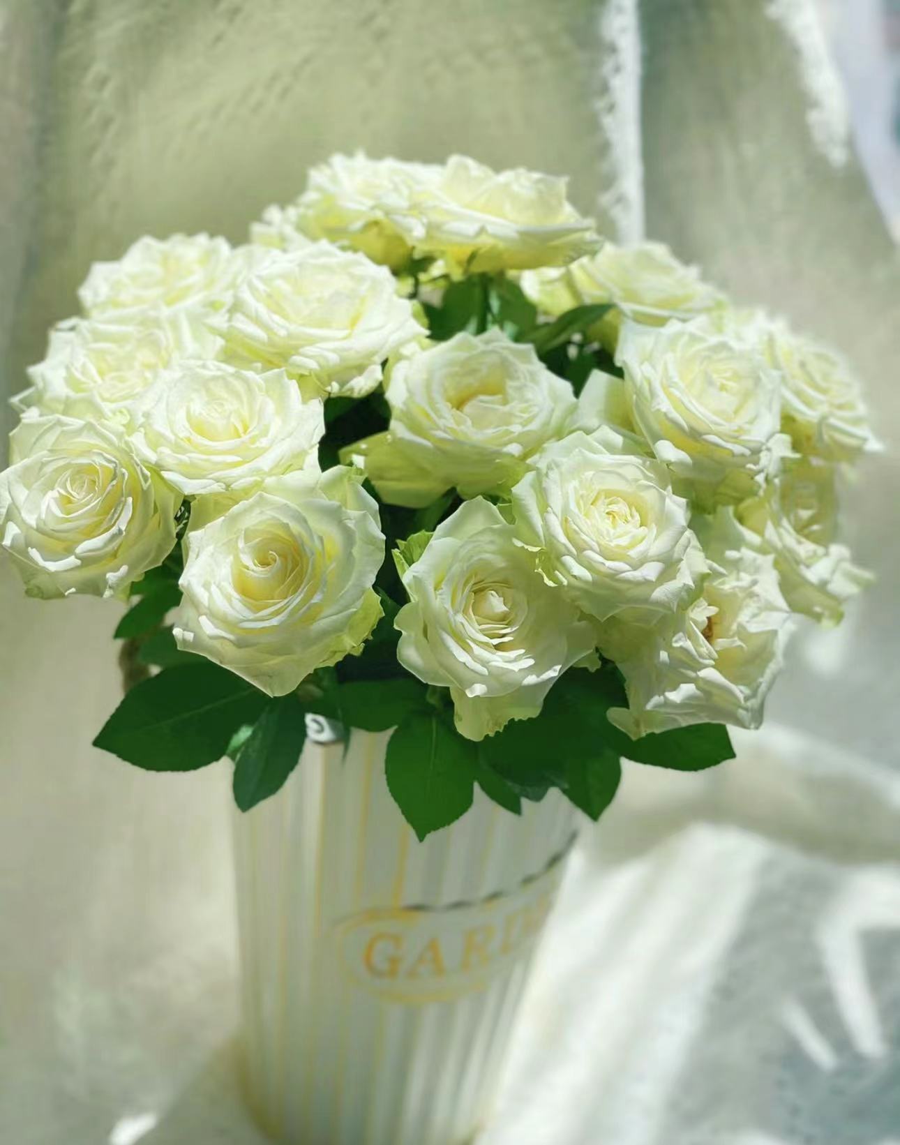 【陌上花开】20支江南-多头玫瑰（注意：带包装醒花哦~）