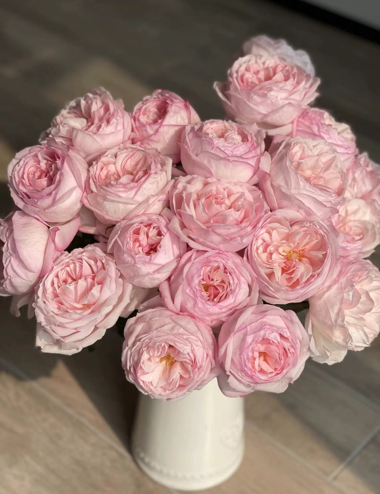 【陌上花开】多头樱桃唇-稀有多头玫瑰（注意：带包装醒花哦~）