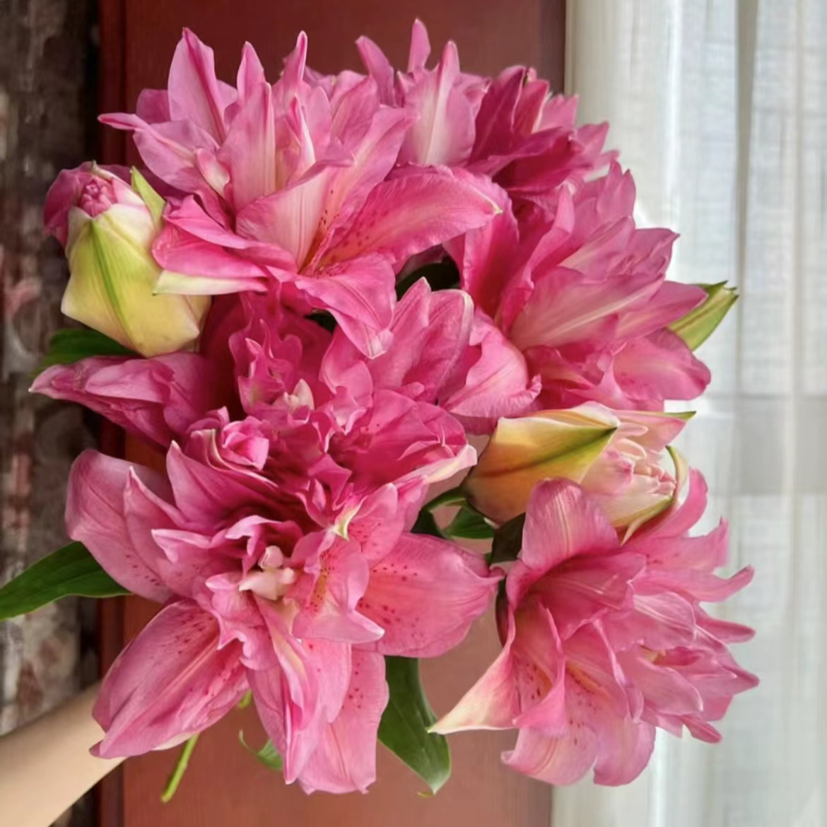 【陌上花开】三头宝莲灯-百合