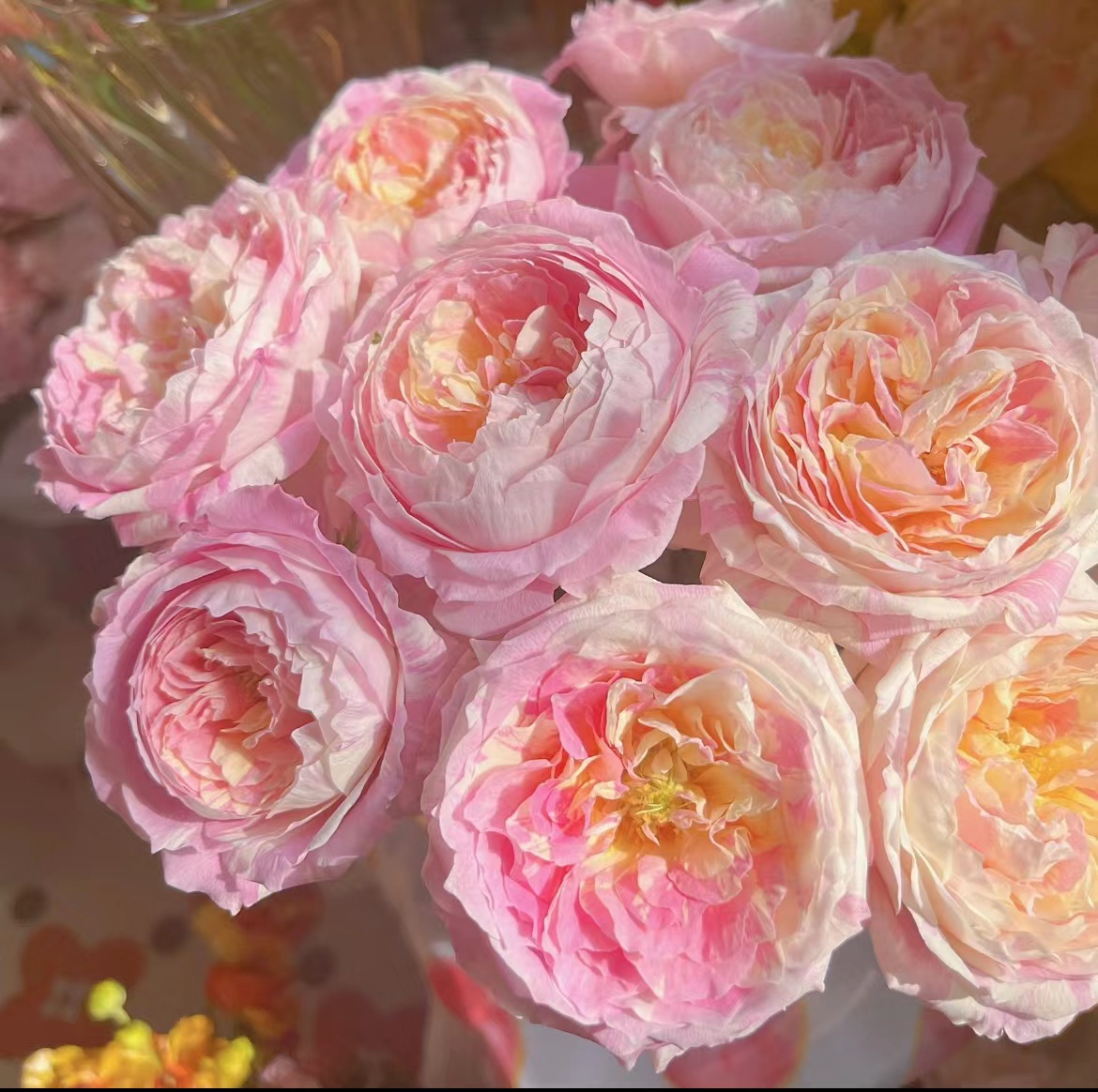 【陌上花开】多头莫奈-多头玫瑰