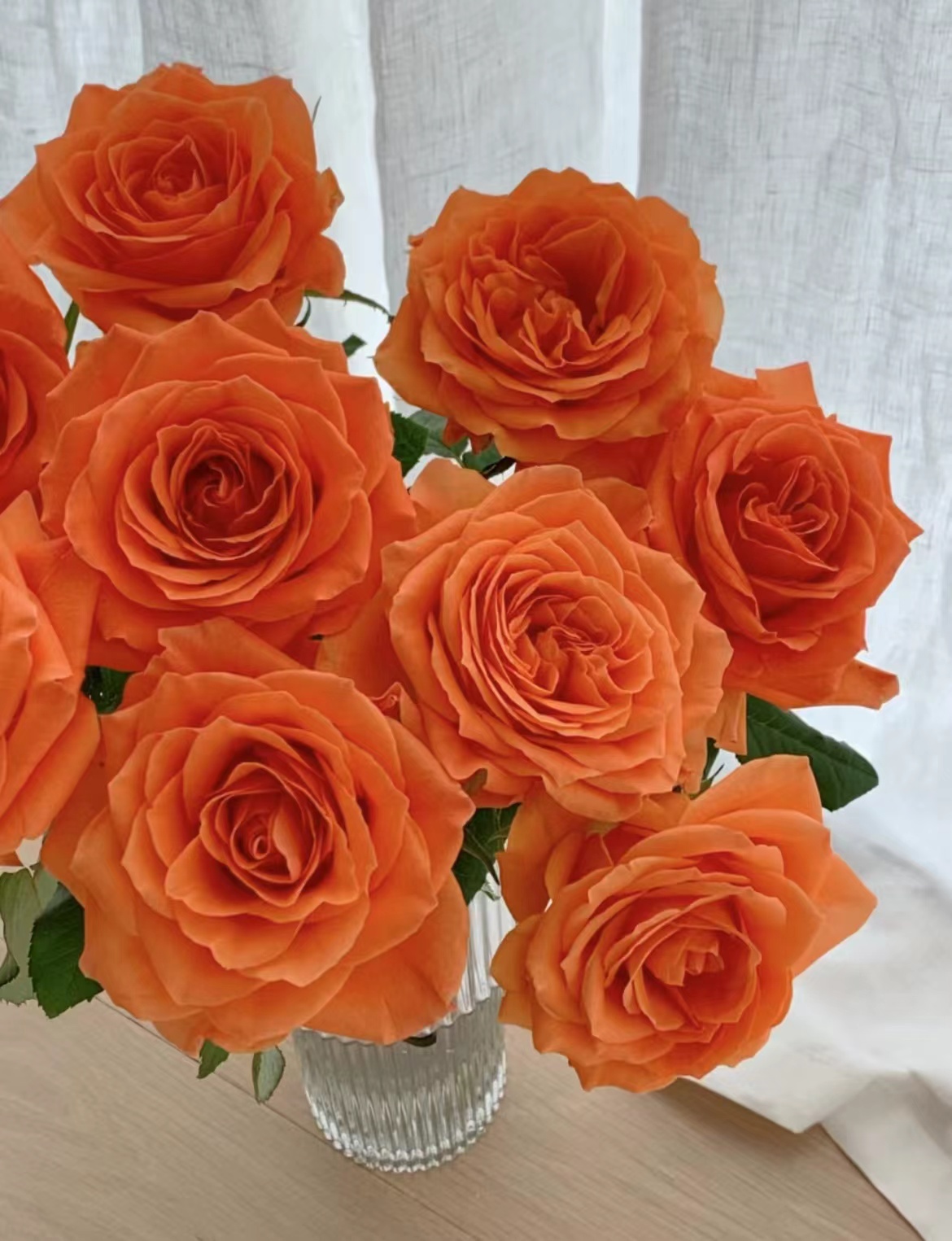 【陌上花开】20支橘珊瑚-单头玫瑰