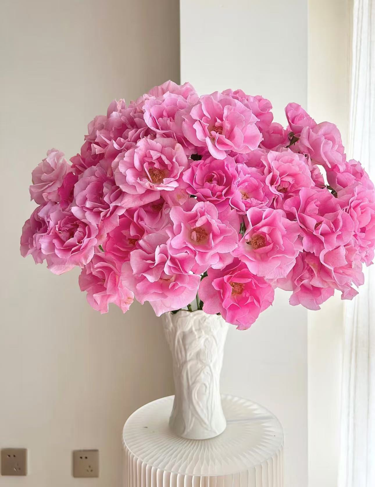 【陌上花开】摩朵-多头玫瑰（注意：请带包装醒花哦！）