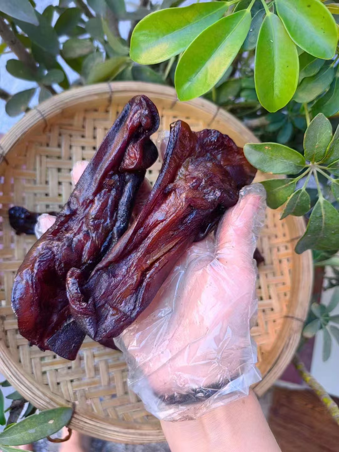 湖南柴火烟熏腊猪拱嘴