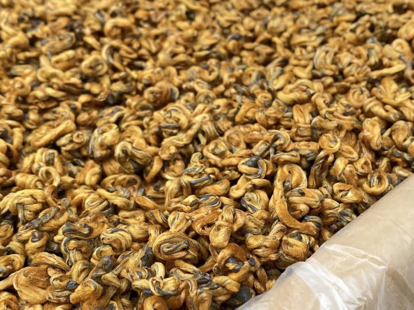 金螺云南古树红茶