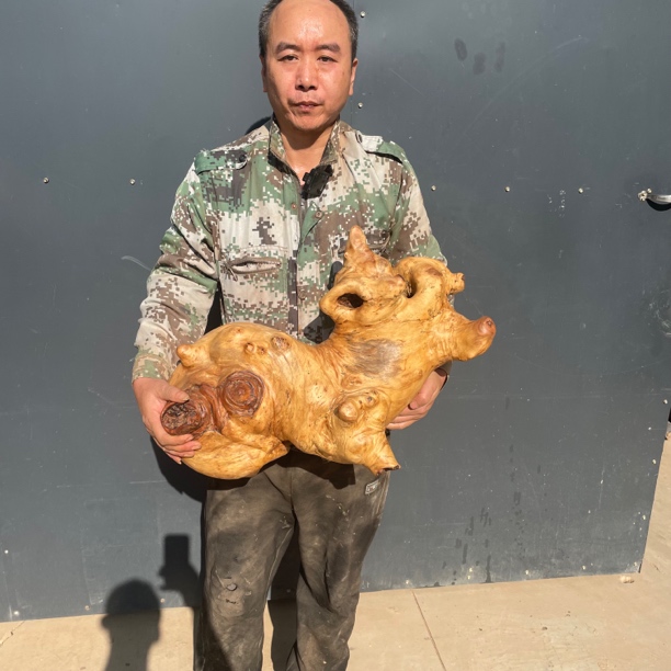 全陈化老料随型象型（猪）摆件