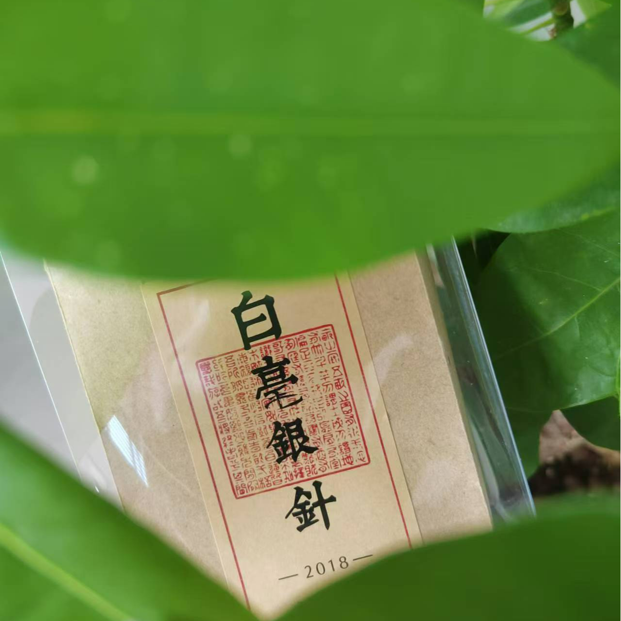 2018 白毫银针 茶中美人