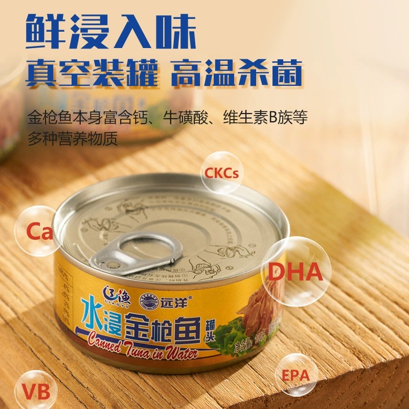 辽渔远洋 深海金枪鱼罐头 100g*4/8罐