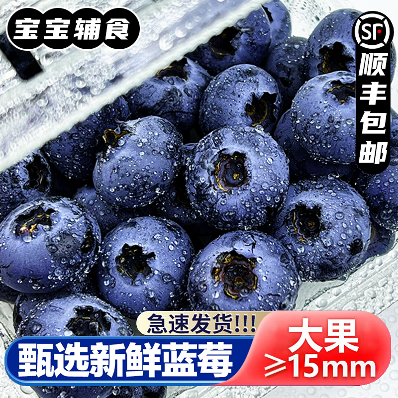 云南精选高山蓝莓当季新鲜采摘颗颗脆甜蓝色多汁果香浓郁顺丰盒装