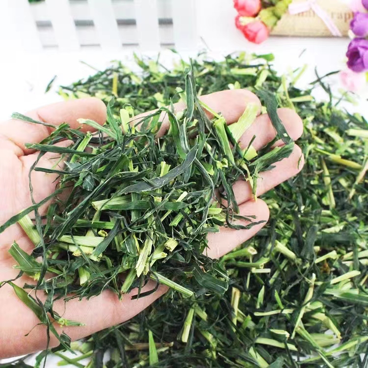 新草大麦草段香脆可口牧草兔子荷兰猪天竺鼠龙猫纯天然干草料粮食