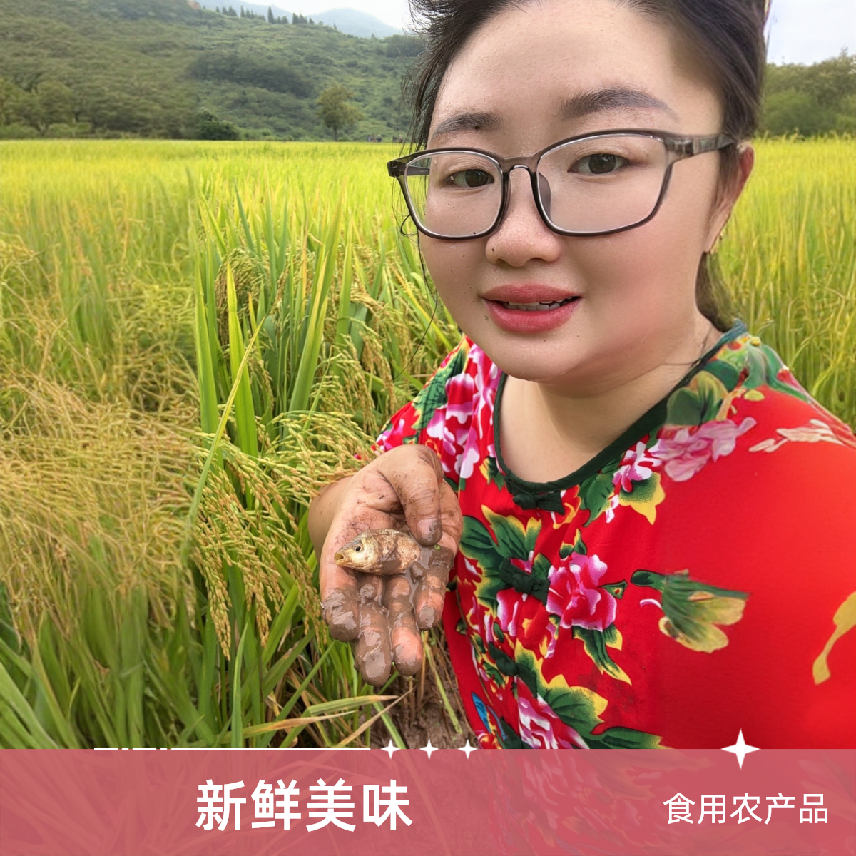 【芳姐专属】浦市本地溪河鱼、虾、螺