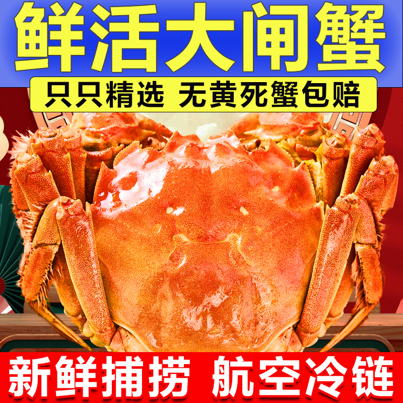 【活蟹】精品大闸蟹全公蟹4.1两-3.8两 8只+2只 共10只