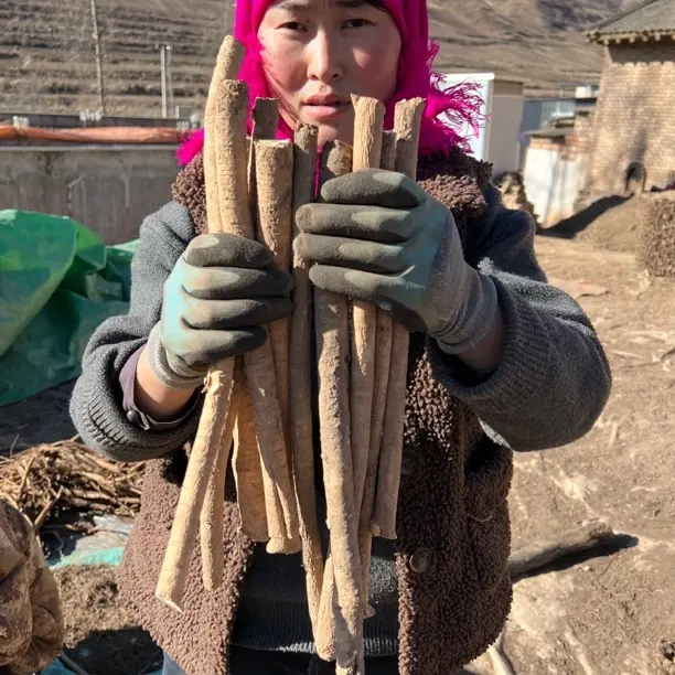 去头去尾黄芪煲汤煮水滋补