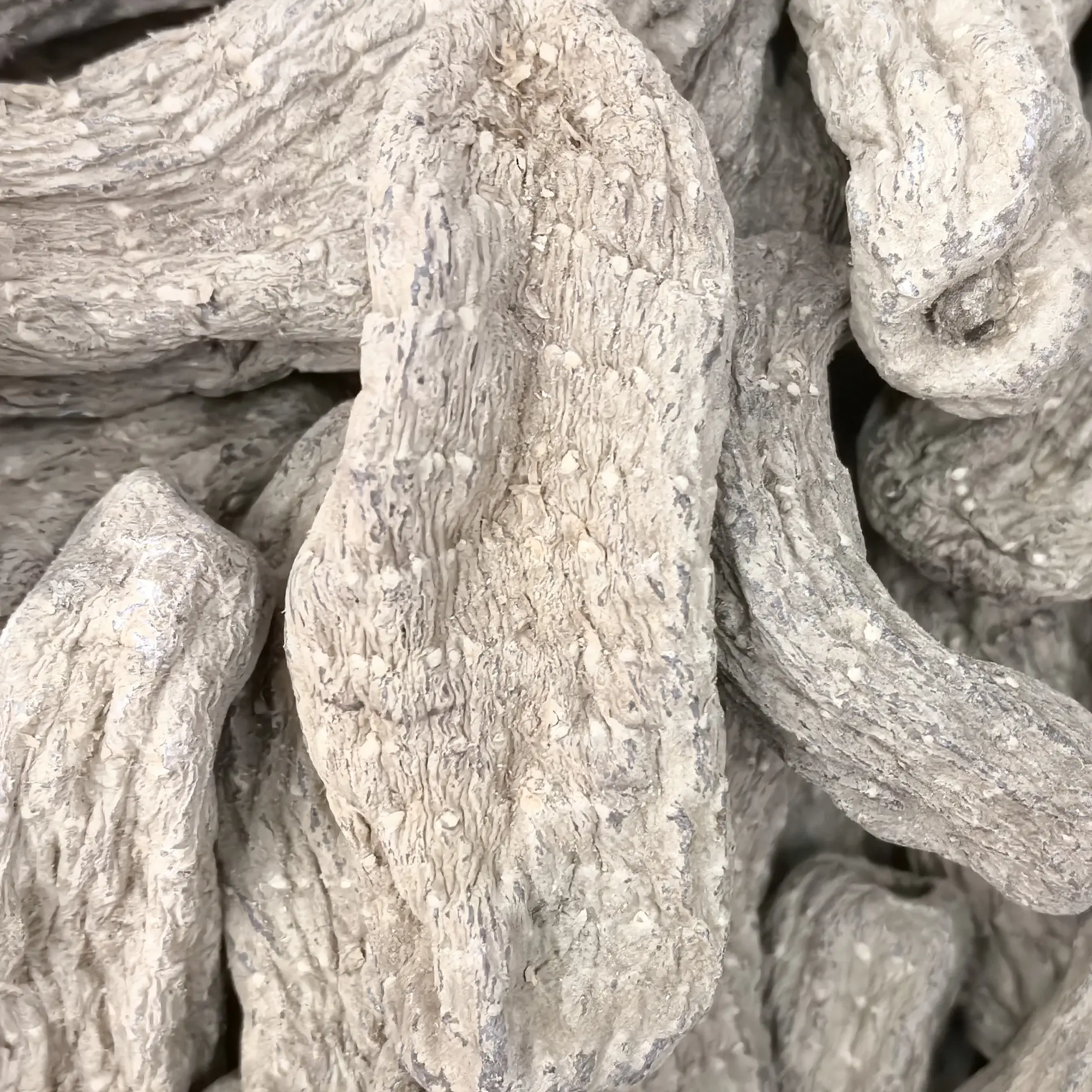 云南昭通小草坝乌天麻自然晾晒可煲汤泡酒滋补干货深山采挖
