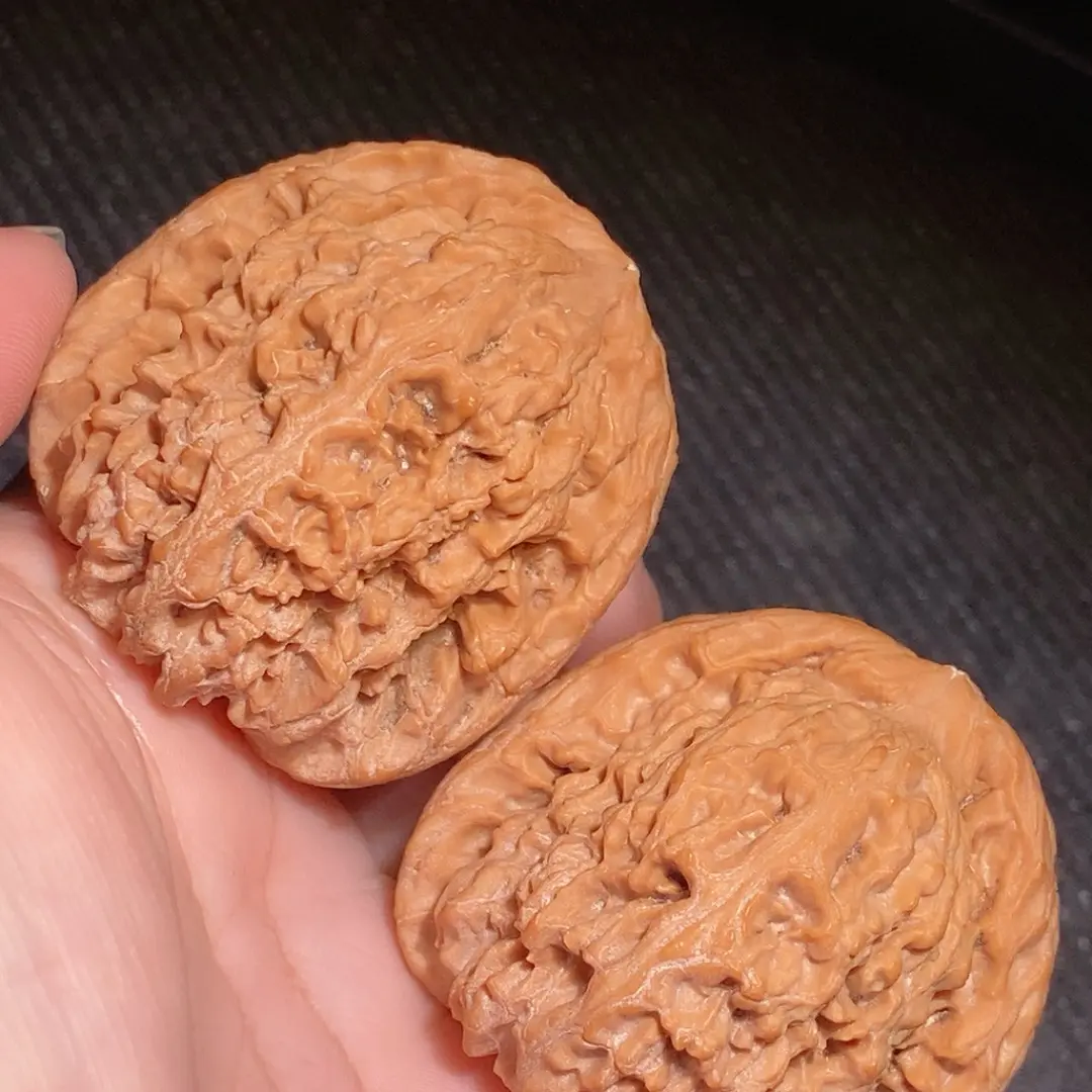 S327筷子大粗棱南疆石狮子头尺寸边肚43.5高44一物一图所看即所得