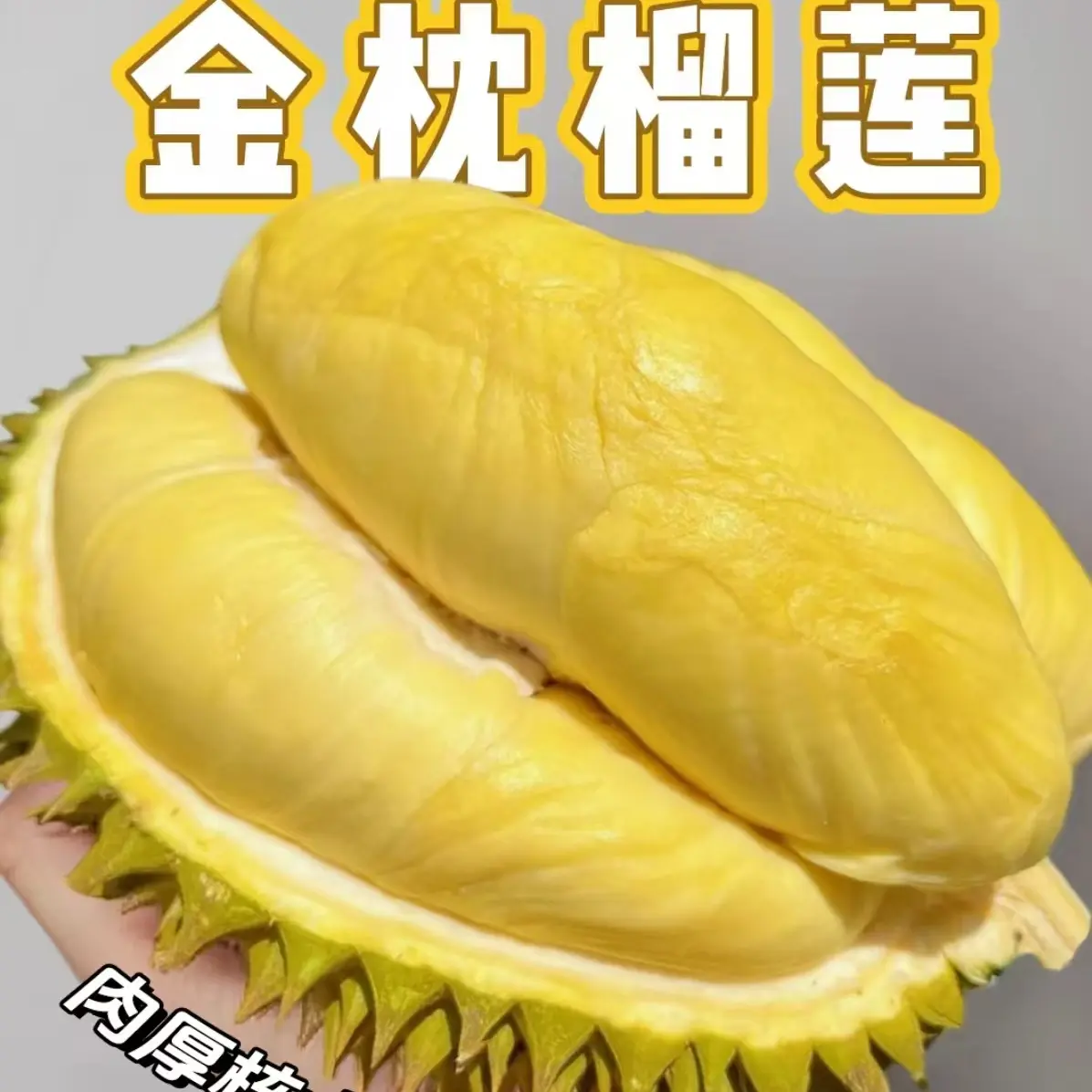 金枕榴莲新鲜带壳树上熟应季水果